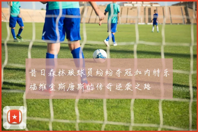 昔日森林狼球员纷纷夺冠加内特乐福维金斯唐斯的传奇逆袭之路