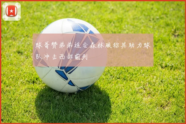 球哥赞弟弟适合森林狼称其助力球队冲击西部前列