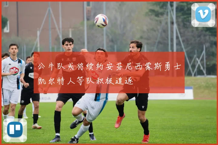 公牛队或将续约安芬尼西蒙斯勇士凯尔特人等队积极追逐